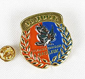 Cast Metal Pin Example