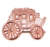Copper Colour Pin